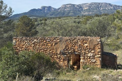 Tomt i Rossell, Castellon, Rossell - € 35 000 | Ref: Canguro - foto 2